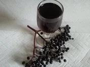 Holunderlikör - Hollerbuschlikör - Rezept