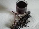 Holunderlikör - Hollerbuschlikör - Rezept