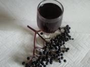 Holunderlikör - Hollerbuschlikör - Rezept