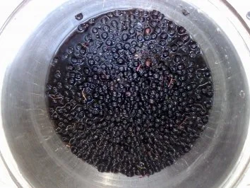 Rezept: Holunderlikör - Hollerbuschlikör Bild Nr. 3 Holunderlikör - Hollerbuschlikör - Rezept - Bild Nr. 3