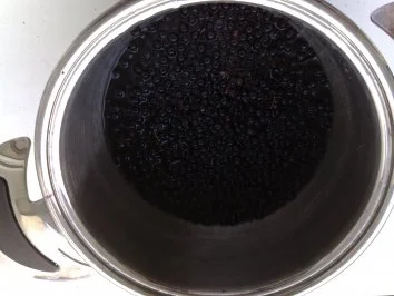 Rezept: Holunderlikör - Hollerbuschlikör Bild Nr. 6 Holunderlikör - Hollerbuschlikör - Rezept - Bild Nr. 6