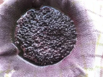 Rezept: Holunderlikör - Hollerbuschlikör Bild Nr. 4 Holunderlikör - Hollerbuschlikör - Rezept - Bild Nr. 4