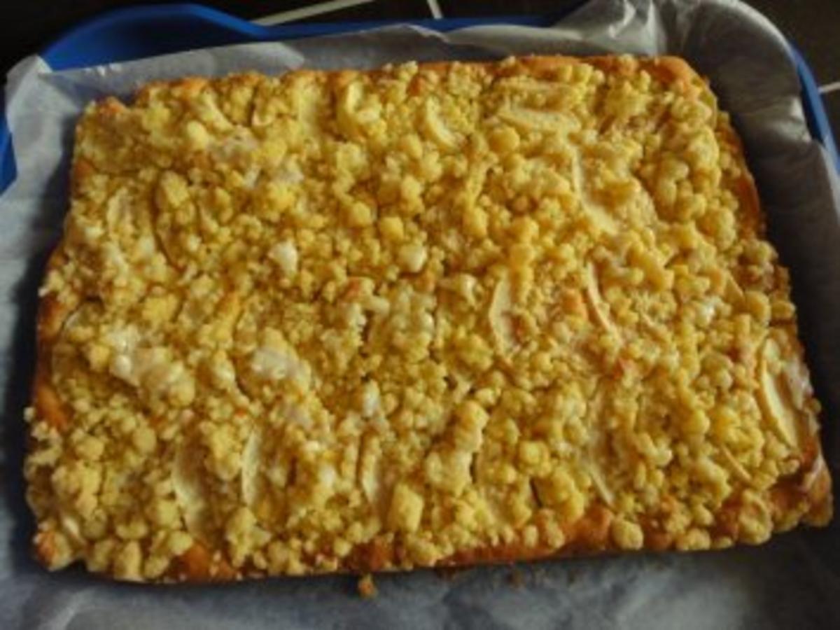Feiner Apfelkuchen mit Streusel - einfach - 279 kcal/100g