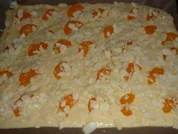 Rezept: Butterkuchen mit Mandarinen Bild Nr. 4 Butterkuchen mit Mandarinen - Rezept - Bild Nr. 4