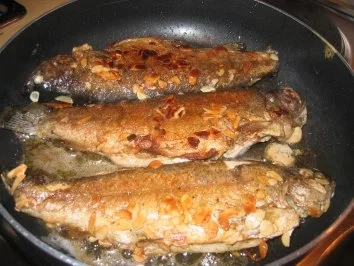 Fisch: Gefüllte Mandel - Forellen - Rezept - Bild Nr. 2