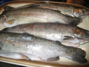 Fisch: Gefüllte Mandel - Forellen - Rezept - Bild Nr. 6