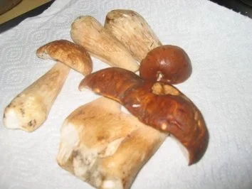 Suppe: Steinpilzsüppchen mit Knusperstange! - Rezept - Bild Nr. 5