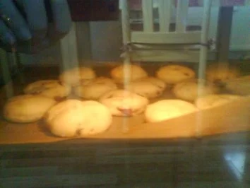 Rezept: Cranberry Scones Bild Nr. 15 Cranberry Scones - Rezept - Bild Nr. 15