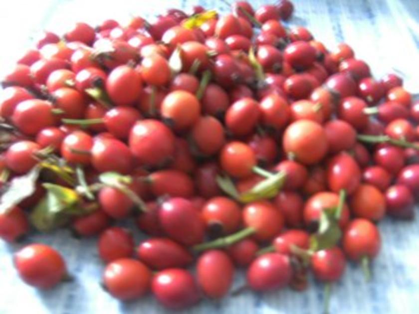 Hagebutten Marmelade,,,,, für Sammler und Genießer - einfach - von ...