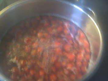 Hagebutten-Marmelade,,,,,  für Sammler und Genießer - Rezept - Bild Nr. 3