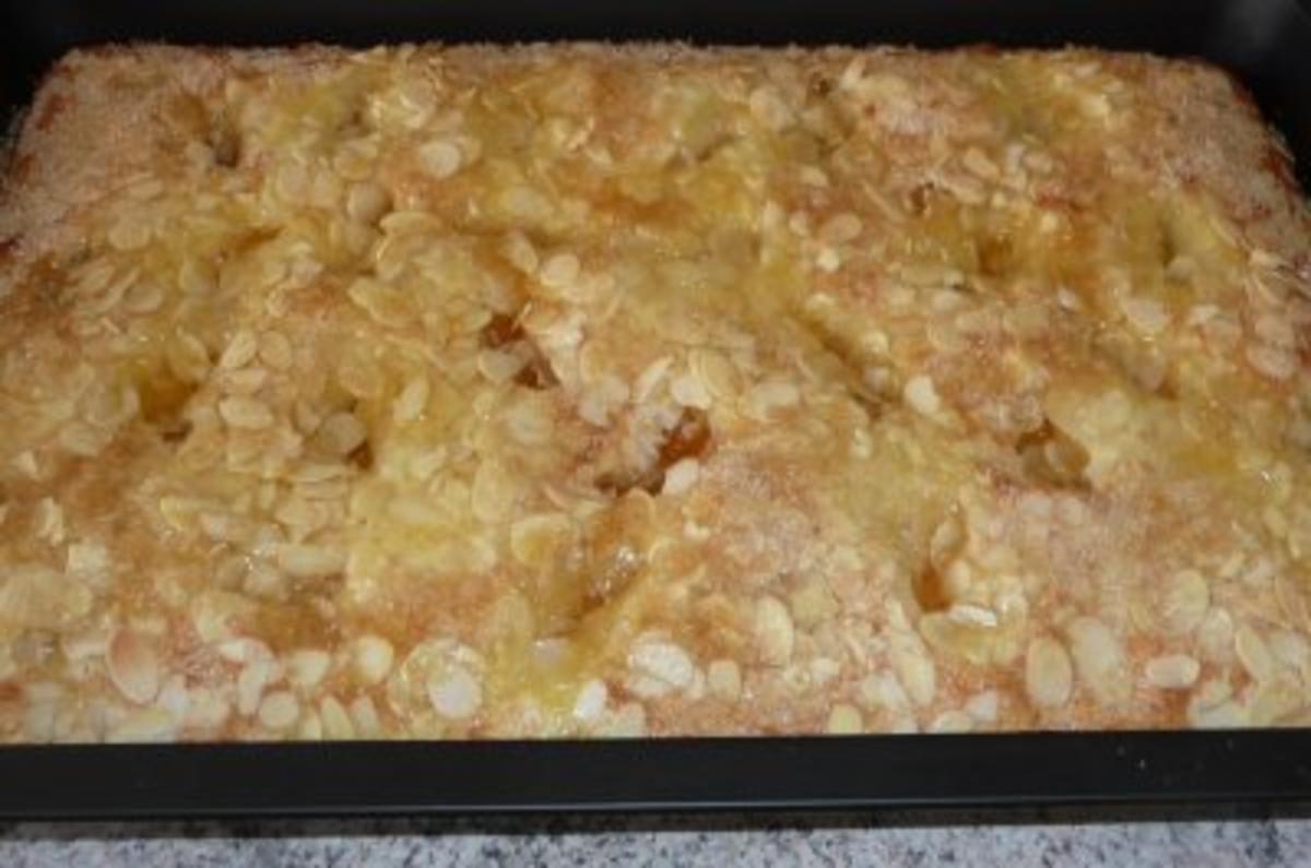 Kuchen: Aprikosenkuchen mit Joghurt und Mandeln - Rezept - Bild Nr. 3