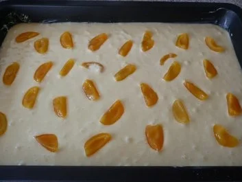 Kuchen: Aprikosenkuchen mit Joghurt und Mandeln - Rezept - Bild Nr. 2