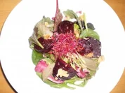 Im Ofen gegarte Rote Beete auf Wildkräutersalat mit Walnussvinaigrette - Rezept