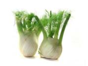 GEMÜSE: Gebackener Fenchel mit Joghurt-Dip - Rezept