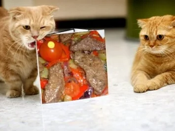 Rezept: Leber auf Gemüsebett Bild Nr. 6 Leber auf Gemüsebett - Rezept - Bild Nr. 6