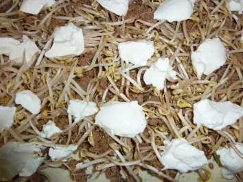 Rezept: Blätterteig trifft Mungobohnensprossen und Hack Bild Nr. 4 Blätterteig trifft Mungobohnensprossen und Hack - Rezept - Bild Nr. 4