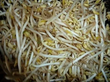 Rezept: Blätterteig trifft Mungobohnensprossen und Hack Bild Nr. 5 Blätterteig trifft Mungobohnensprossen und Hack - Rezept - Bild Nr. 5