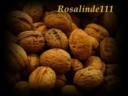 Rezept: Darum ist die Nuss ein Muss Darum ist die Nuss ein Muss - Rezept