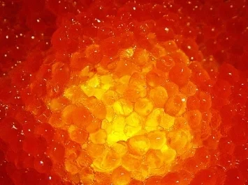 Rezept: Pfannkuchen "DeLuxe" Pfannkuchen "DeLuxe" - Rezept