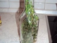 Rezept: Kräuteröle Bild Nr. 5 Kräuteröle - Rezept - Bild Nr. 5