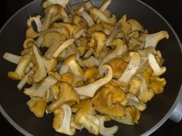 Rezept: Pfifferlinge -klassisch Bild Nr. 4 Pfifferlinge -klassisch - Rezept - Bild Nr. 4