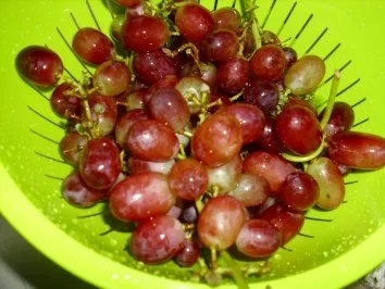 Rezept: Weintrauben-Dessert Bild Nr. 2 Weintrauben-Dessert - Rezept - Bild Nr. 2