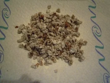 Triester Presnitz - Rezept - Bild Nr. 5