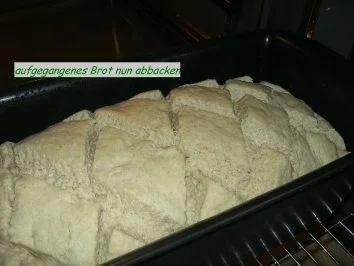 Brot: ROGGEN - WEIZENMISCH - Rezept - Bild Nr. 8