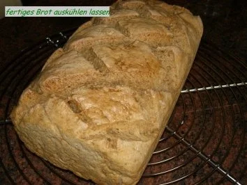 Brot: ROGGEN - WEIZENMISCH - Rezept - Bild Nr. 9