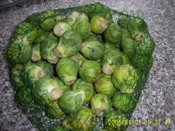 Rezept: Hähnchentopf Bild Nr. 2 Hähnchentopf - Rezept - Bild Nr. 2