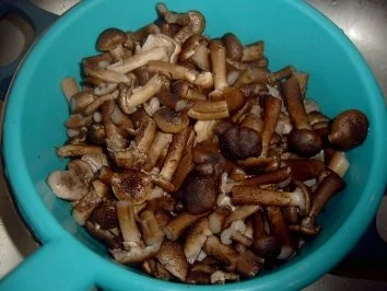 Rezept: FLEISCH: Mein "Herbst" Rinderbraten Bild Nr. 3 FLEISCH: Mein "Herbst" Rinderbraten - Rezept - Bild Nr. 3