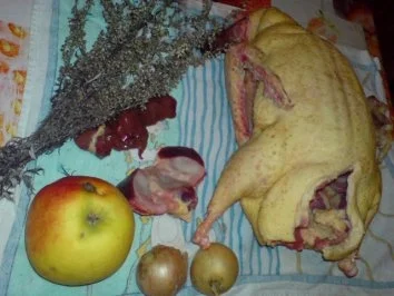 Rezept: Entenbraten Bild Nr. 4 Entenbraten - Rezept - Bild Nr. 4