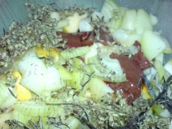 Rezept: Entenbraten Bild Nr. 6 Entenbraten - Rezept - Bild Nr. 6