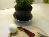 Kräuter-Mix - Rezept - Bild Nr. 10