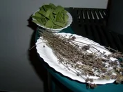 Kräuter-Mix - Rezept