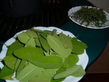 Kräuter-Mix - Rezept - Bild Nr. 3