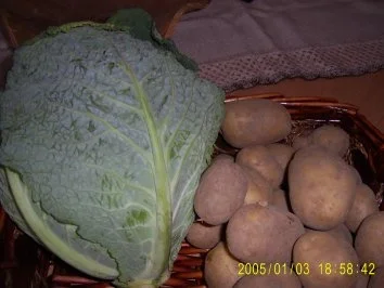 Wirsingeintopf - Rezept - Bild Nr. 2