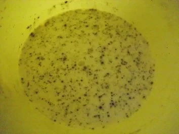 Rezept: Kartoffelauflauf mit Zuccini und Cabanossi + Hähnchenschenkel scharf gebraten Bild Nr. 12 Kartoffelauflauf mit Zuccini und Cabanossi + Hähnchenschenkel scharf gebraten - Rezept - Bild Nr. 12