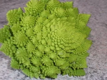 Süppchen: Romanesco - Karottensuppe - Rezept - Bild Nr. 2