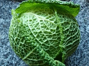 Cremiger Tagliatelle-Auflauf "Wirsing und Hack" - Rezept - Bild Nr. 6