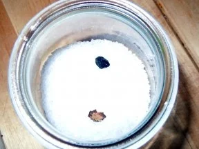 Rezept: Tonka-Salz und Tonka-Zucker Bild Nr. 2 Tonka-Salz und Tonka-Zucker - Rezept - Bild Nr. 2