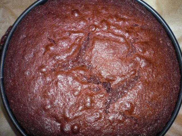 Rezept: Kleiner gestürzter Schoko-Nusskuchen Bild Nr. 16 Kleiner gestürzter Schoko-Nusskuchen - Rezept - Bild Nr. 16