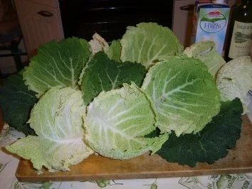 Rezept: Thüringer Wirsingroulade mit Kräuterhackfüllung Bild Nr. 3 Thüringer Wirsingroulade mit Kräuterhackfüllung - Rezept - Bild Nr. 3