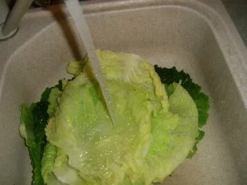 Rezept: Thüringer Wirsingroulade mit Kräuterhackfüllung Bild Nr. 4 Thüringer Wirsingroulade mit Kräuterhackfüllung - Rezept - Bild Nr. 4