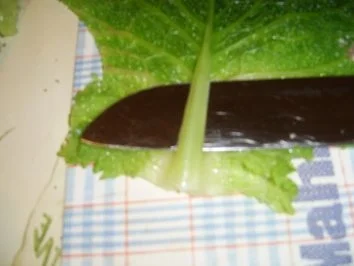 Rezept: Thüringer Wirsingroulade mit Kräuterhackfüllung Bild Nr. 10 Thüringer Wirsingroulade mit Kräuterhackfüllung - Rezept - Bild Nr. 10