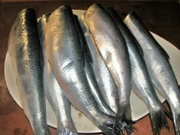 Die Verwandlung des grünen Herings - Rezept - Bild Nr. 2