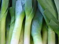 HAUPTGERICHTE: Lauch-Toast - Rezept