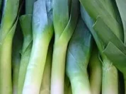 HAUPTGERICHTE: Lauch-Toast - Rezept