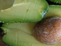 Rezept: SALATE: Avocadosalat mit Kresse - Eiersoße SALATE: Avocadosalat mit Kresse - Eiersoße - Rezept