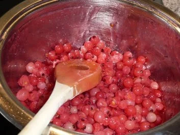 Marmelade: Johannisbeer - Nektarinen - Orangengelee - Rezept